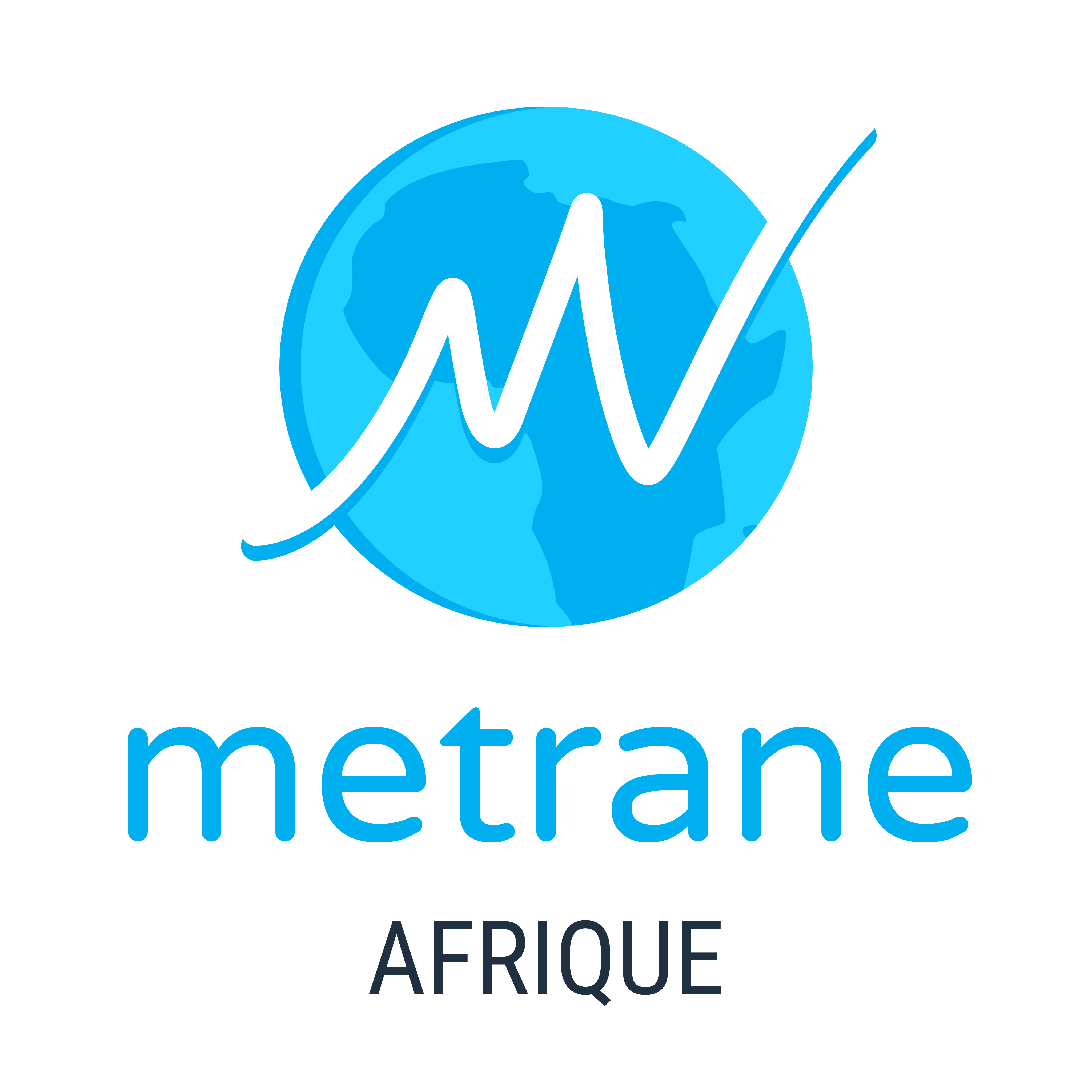 Logo Metrane Afrique